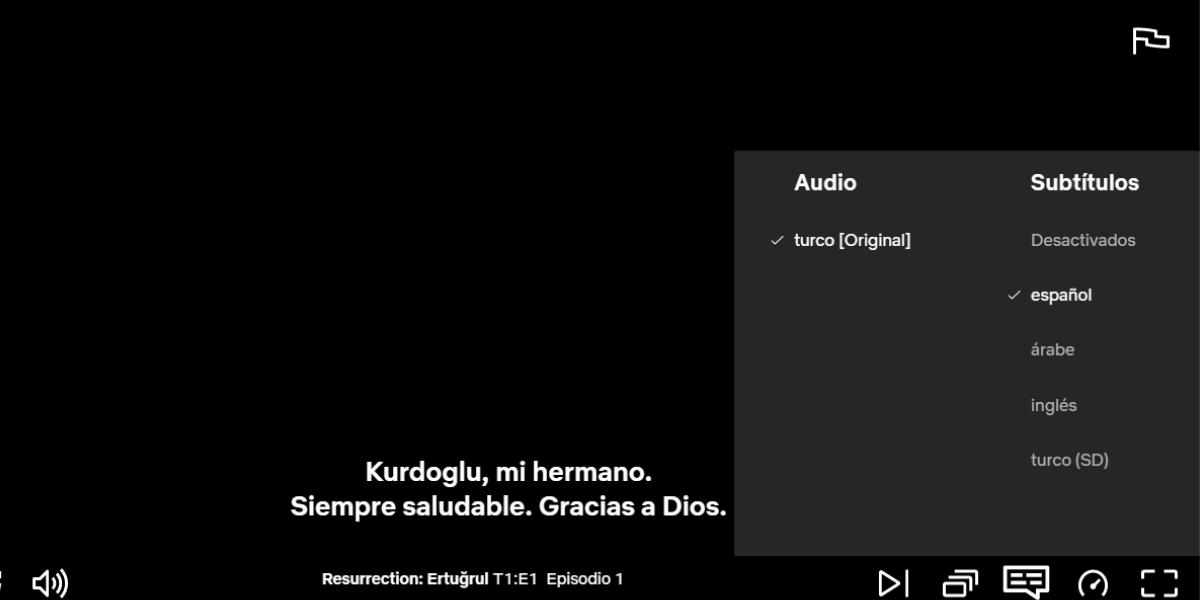 series turcas subtituladas en español