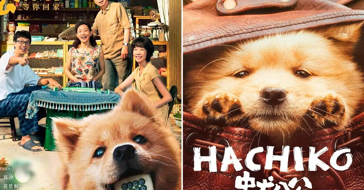En este artículo te vamos a contar todo sobre Hachiko 2: fecha de estreno, sinopsis, tráiler y más sobre la secuela del perro ‘más fiel del mundo’