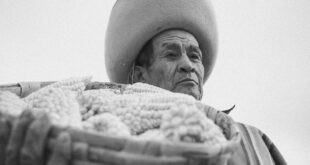 Un anciano misterioso salvó a una empresaria millonaria y ella lo recompensó
