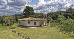 La verdad silenciosa de Elena: la historia de una viuda expulsada de su hogar tras cuidar a su esposo enfermo